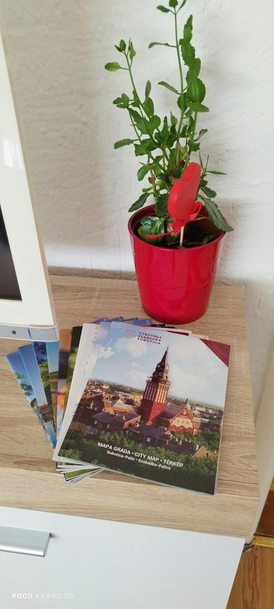 Twins Apartment Subotica